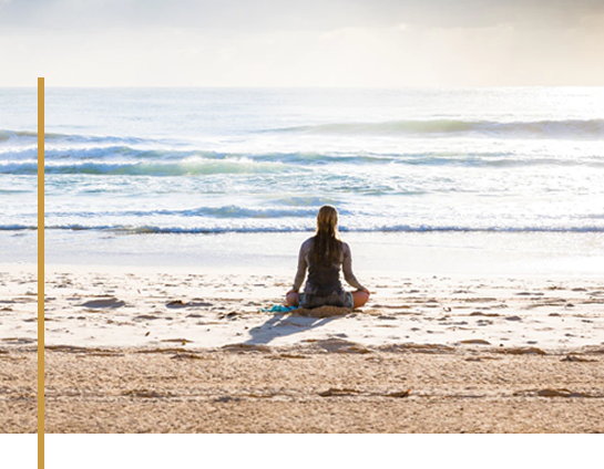 mindfulnes medytacja - wings of mind mindfulnes medytacja - wings of mind